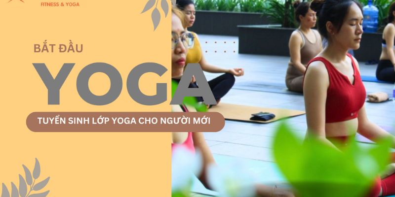 Yoga Quận 2: Điểm Đến Lí Tưởng Cho Sức Khỏe Và Sự Thư Giãn