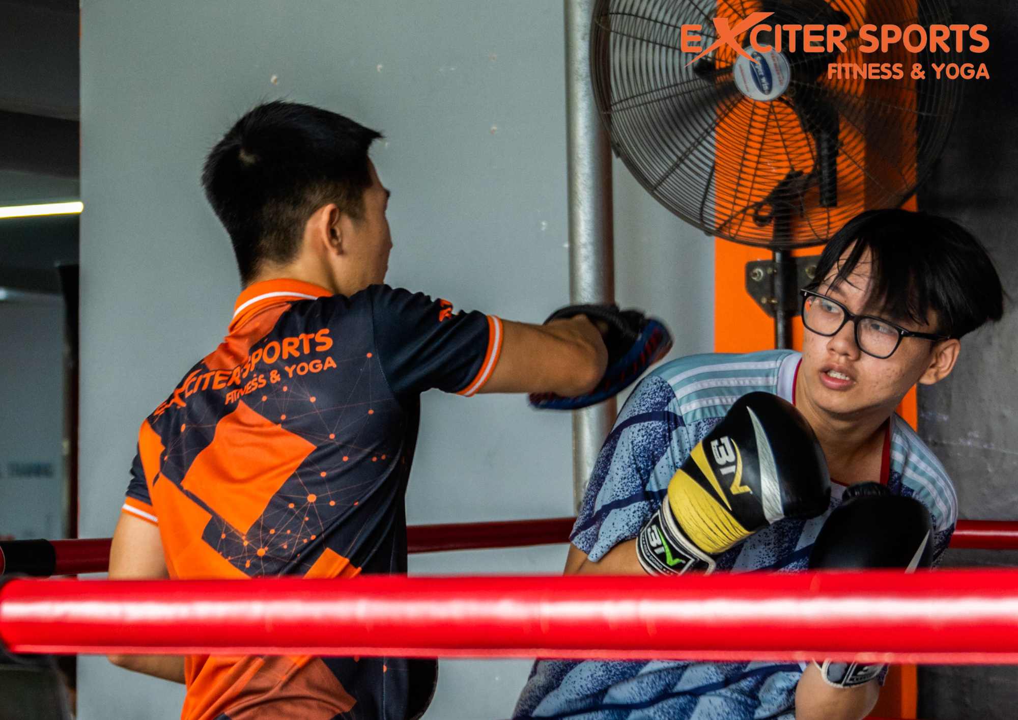 Nhìn Boxing như hành trình dài hạn