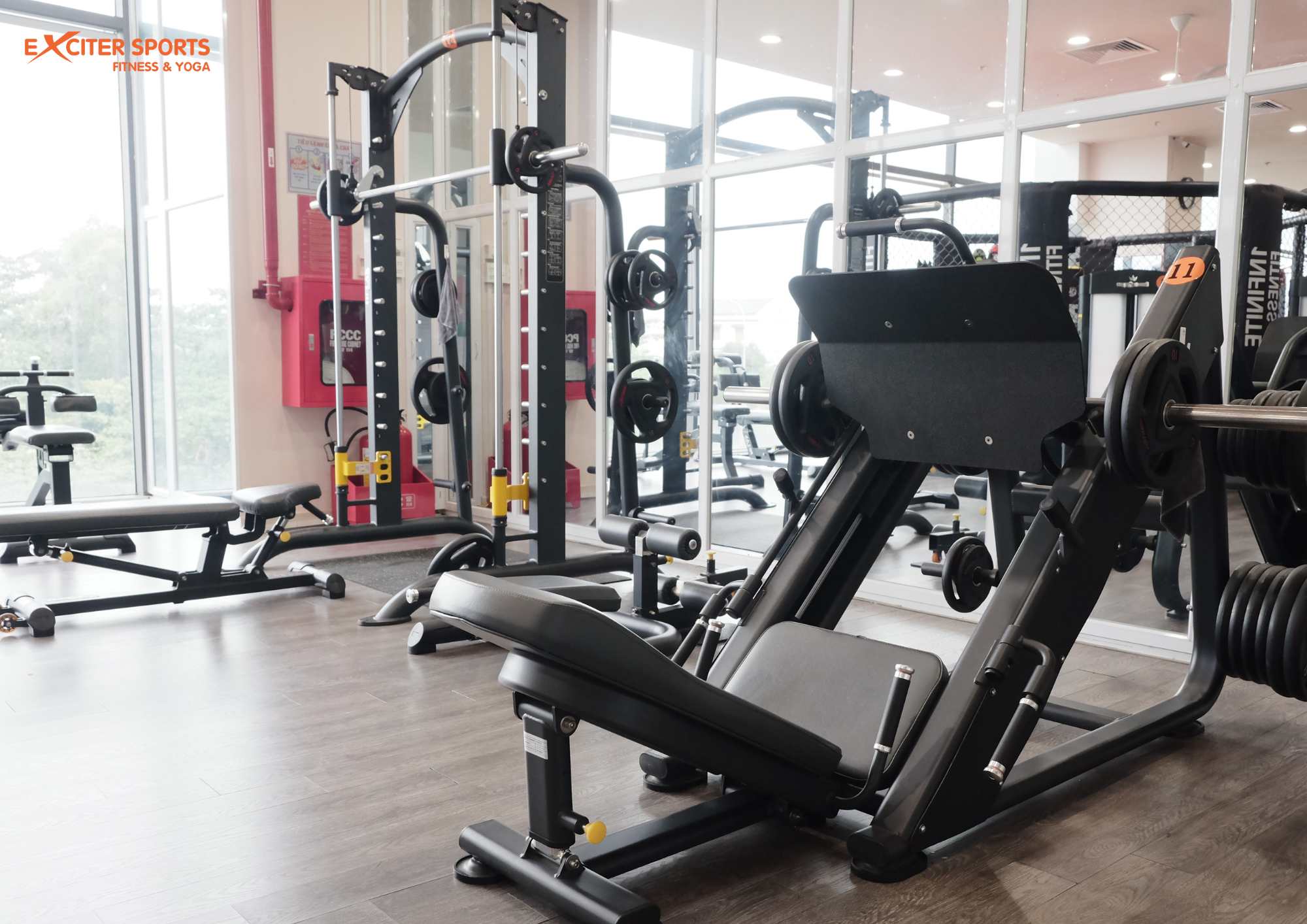 Tập gym không còn đáng sợ khi có người bạn đồng hành cùng bạn bắt đầu